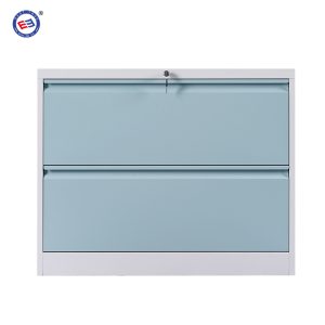 2 Drawer Lateral File Cabinet, Storage Cabinet