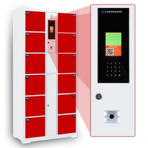 Smart storage lockers