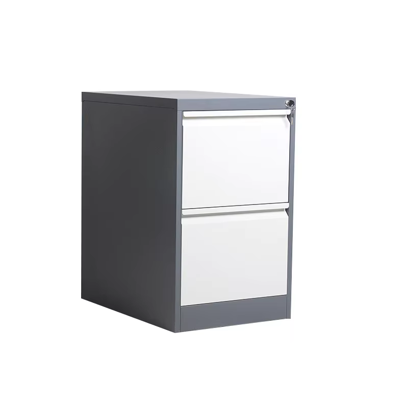 2 drawer locking file cabinet