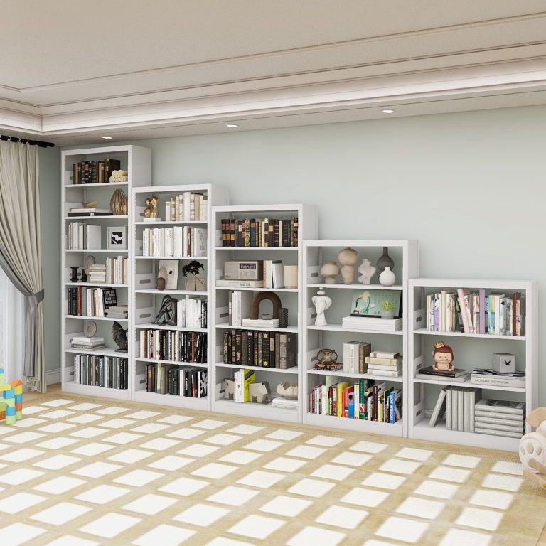 Dongzhixin steel bookcase