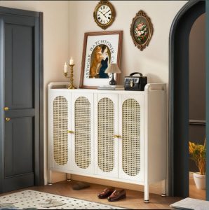 Steel Hallway Shoe Cabinet