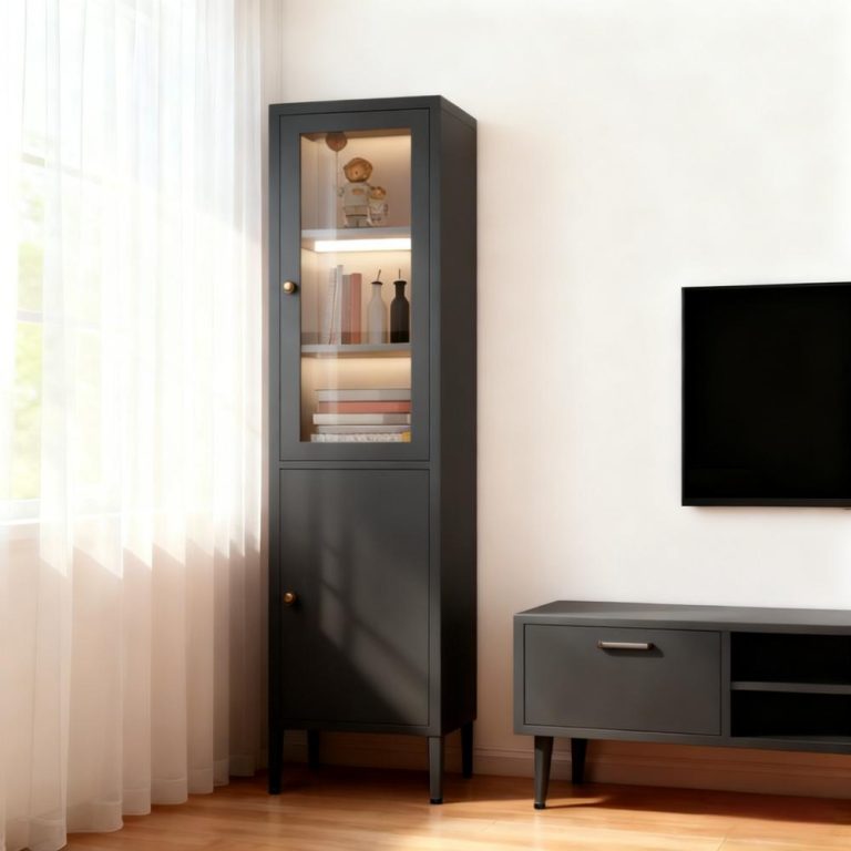 Black Modern Storage Cabinet with Glass Door