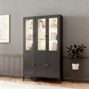 Modern Storage Cabinet with Glass Door